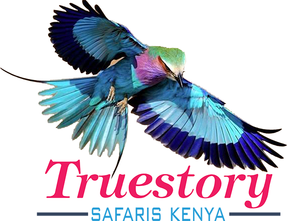 Truestory Safaris Kenya
